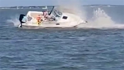 Boat and whale collision off Jersey Shore coast