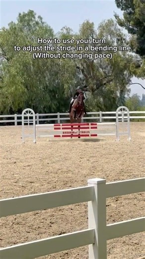 Using the turn to adjust the stride in a line #horsetrainingvideos