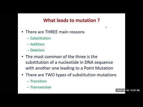 Lecture 5 : Molecular basis of mutation