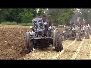 Aratura d'epoca sabato mattina Baura 2025 - Landini testacalda | Vintage hot bulb tractors plowing