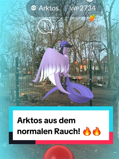 Wer hat das Pokemon Go Event dieses WE nutzen können. Wie viele Legendäre habt ihr gesehen und sind gefühlt alles bei euch auch nach dem ersten Ball weggerannt? 🤣🤣🤣 Wollte das nur Just for Fun aufnehmen und dann bleibt der einfach drin 🤭😍 #pokemongo #pokemon #articuno #AR #legendarypokemon
