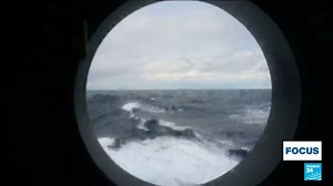 2.3K views · 41 reactions | #Norway  - Some 300 polar bears live in the Arctic region of Svalbard. But with sea ice rapidly receding due to climate change, researchers are trying to understand how the animals are adapting. Watch today's #FOCUS report ⤵️ | FRANCE 24 English | Facebook