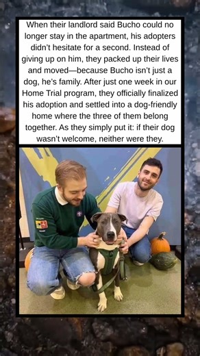 Family Comes First: When Home Means Staying Together