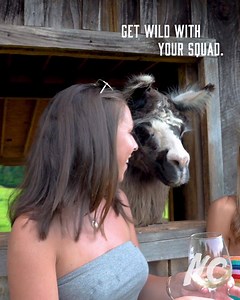 Visit North Carolina on Reels | Facebook