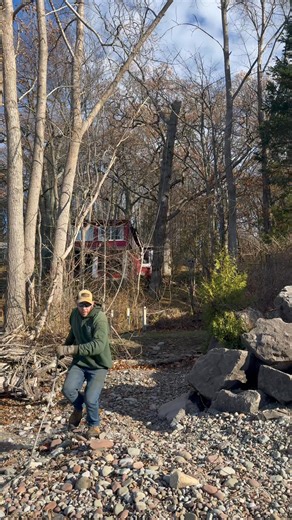 Tree is down customer completely satisfied | Eagle Eye Tree Service & Lawn Care