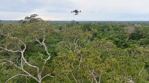 50K views · 97 reactions | It’s a bird … it’s a plane … it’s a...