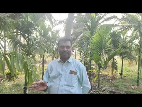 ಗಾಯತ್ರಿ ಜಲಾಶಯ ಡ್ಯಾಮ್ ಇದ್ರೂ ನೀರಿಲ್ಲ