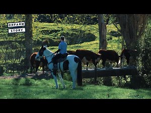 Hereford Breeding up the Forgotten World Highway | On Farm Story