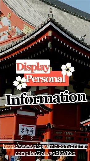 Python Display Personal Information (Program Link in Description)