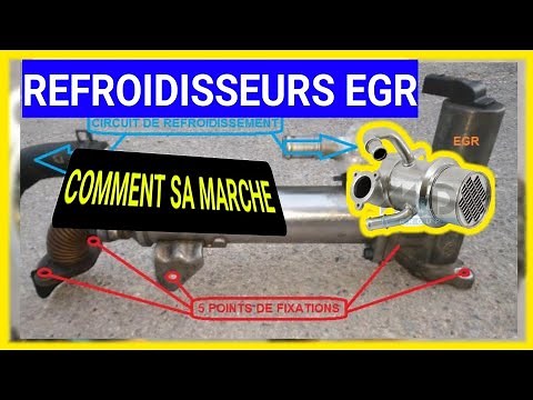 EGR COOLER: How does the exhaust gas egr cooler work?