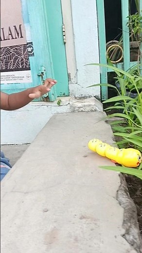 Screaming frog #frog #memes #animals #fypシ゚viral #shortvideo