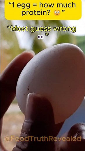 How Much Protein is in 1 Egg? 😳 #eggs #protein #nutrition #foodfacts #viralshorts