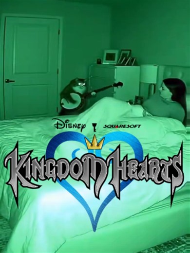 When You Walk Away Kingdom Hearts meme cat video