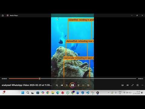 Under Water Image Enhancement Marine Life Monitoring