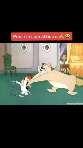 Droppy el mejor | Caricaturas de Droopy y Drupi | Tom and Jerry