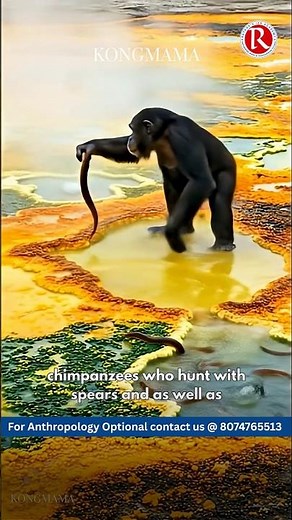Physical Anthropology: Why Chimps & Bonobos Act Just Like Us | Rathod's IAS Academy | upsc ias
