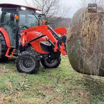 Cows Go Nuts For This!