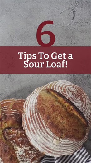 How to make your sourdough bread more sour! How do you like your loaf- more or less sour??