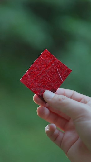 56K views · 743 reactions | Village Farmer Creates a Super-Sized Roselle Snack – You’ve Never Seen This Before! | Natural Life | Facebook