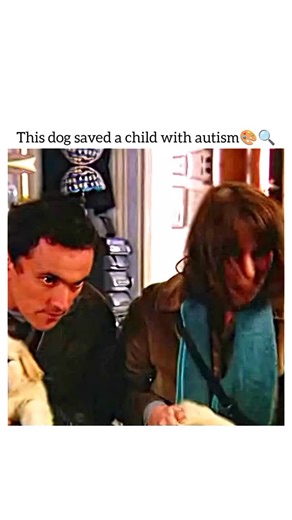 Entertaining Scow on Instagram: "🎬 After Thomas (2006) 📖 Directed by Simon Shore, this heartfelt drama follows the true story of a young autistic boy whose life transforms after meeting a golden retriever named Thomas. The dog becomes his bridge to the world—helping him express emotions, build trust, and reconnect with his struggling parents. The film shows how unconditional companionship can heal a family and bring light into a child’s silent world. 📺 Where to Watch: Usually available on You
