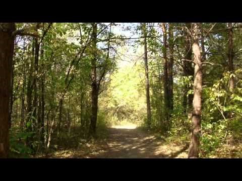 Landscape - Shawn Phillips