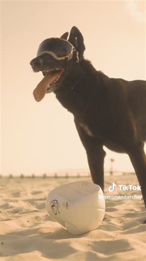 😂 | The Blue Voice