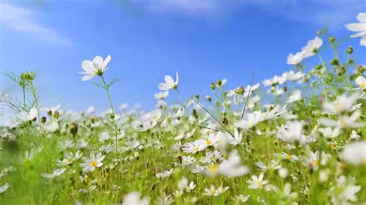 Why this is the best time of year to make healthy changes