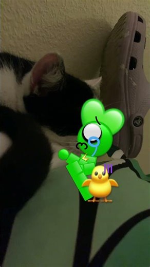 Wake up Coco #hoppyhopscotch ￼