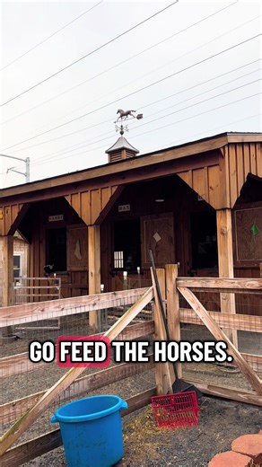 Exploring the Barn: A Day in the Life of Mini Horses