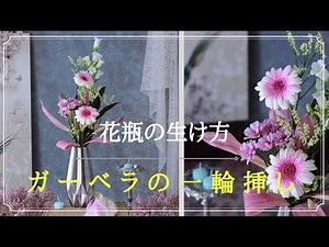 【一輪挿し 生け方】ガーベラを一輪挿しの花瓶に生ける投げ入れの生け方/フラワーアレンジメント教室 横浜