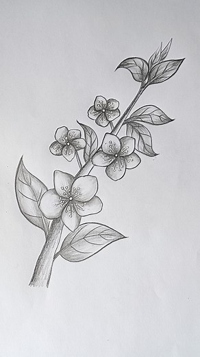 Cherry blossom flower #Art #Drawing #HowToDraw #PencilSketch #Artist #ArtWork #CherryBlossomFlower #DegitalCreator #Tranding #ForYouPage #Shorts #FbReels #DegitalCreator | Tahmina Art Gallery