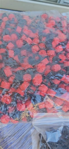 As we start our year 2026 on a good note, Drip irrigation kit...