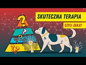Don't start with... the tail of the page! | Effective dog behavior therapy