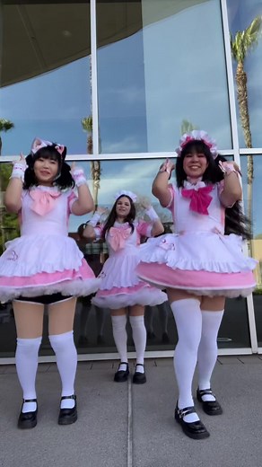 Cat girl maids! #maid #maidcafe #cosplaygirl #anime #animegirls