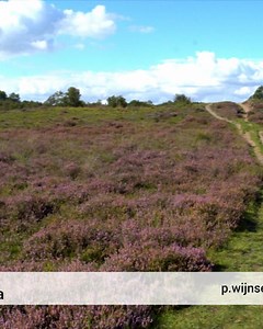 Boeren denken slag te kunnen maken om stikstof terug te dringen