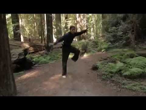 SAI Fundamental Training & Sequence (YMAA White Crane Kung Fu) Nicholas Yang & Dr. Yang