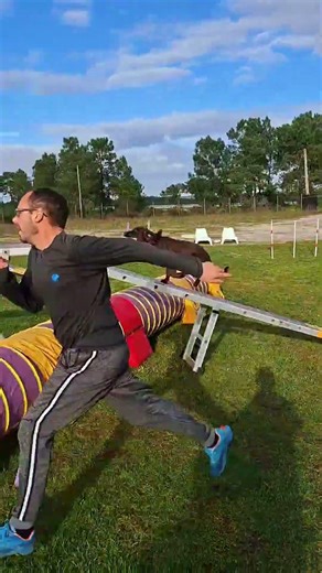 Kappi's Agility Journey: Part 175