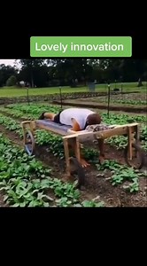 132K views · 1.4K reactions | This back-saving cart makes gardening easier. | FARM SHOW Magazine | Facebook
