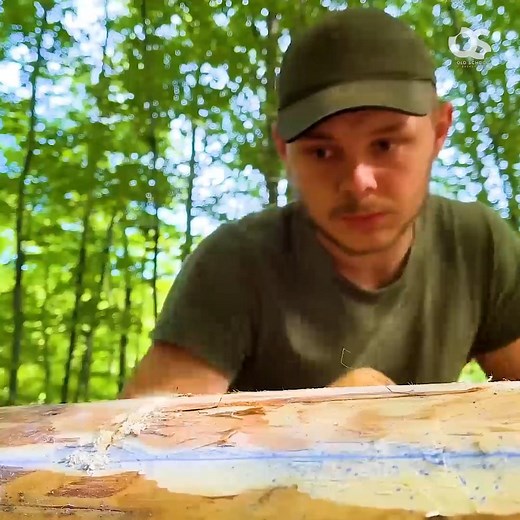 Big house made of logs in the forest- Start to finish | Survival Goal