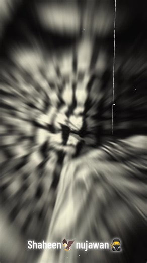 Ah islamic writes on TikTok