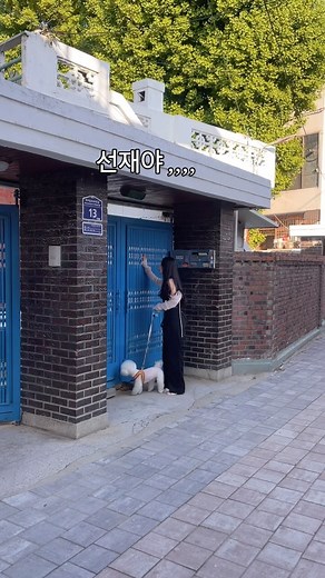 은비 on Instagram: "선재야,,, 왜 안나와 ㅠㅠㅠ 10화까지 보고 선재 앓이 하는 사람 저요 .. 행궁동에서 촬영하다가 만난 선재 솔이네🏡ㅎㅎㅎ 반갑고 신기하고🙊 행궁동 몬테드 카페 찍고가시면 선재네 구경하실 수 있어요👀 🏷️착장 정보 !! 로지 크롭 볼레로 니트 가디건 구름 홀터넥 니트 나시 썸머 투핀턱 텐셀 와이드 팬츠"