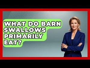 What Do Barn Swallows Primarily Eat? - Bird Watching Diaries