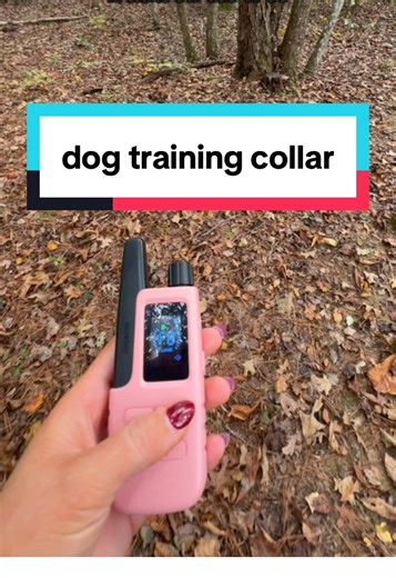 Transform Your Dog Training with Off-Leash Collars