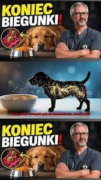 Biegunka u Psa? Lekarz Weterynarii Obala Groźny Mit Ryżu i Kurczaka - Poznaj Prawdę o Jego Jelitach