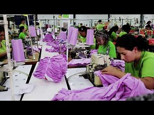 Life cycle of a cotton T