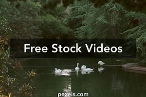 Japan Nature Videos, Download The BEST Free 4k Stock Video Footage & Japan Nature HD Video Clips