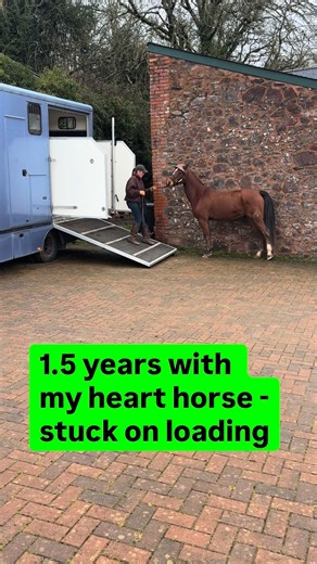 We started practise loading in autumn 2024. Oscar went in but his rushing out was dangerous. He loaded ok for our first pleasure ride in Oct 24. Afterwards he refused — rears, lunge lines, people helping... Then big mistake: too long before restarting, he wouldn’t go back in... My technique: dressage whip in my left hand, body language forward, happy voice when going in, firm energy when refusing. This worked with other horses but not Oscar. Now I have a steep ramp lorry, not a walk-through trai