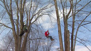 Tree Trimmer Boot Camp