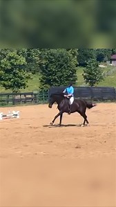 17K views · 316 reactions | You don't need to ride in an English...