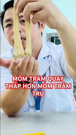 Giải phẫu Xương Trụ: Định hướng, Chi tiết bề mặt và Ứng dụng lâm sàng | Practical Anatomy